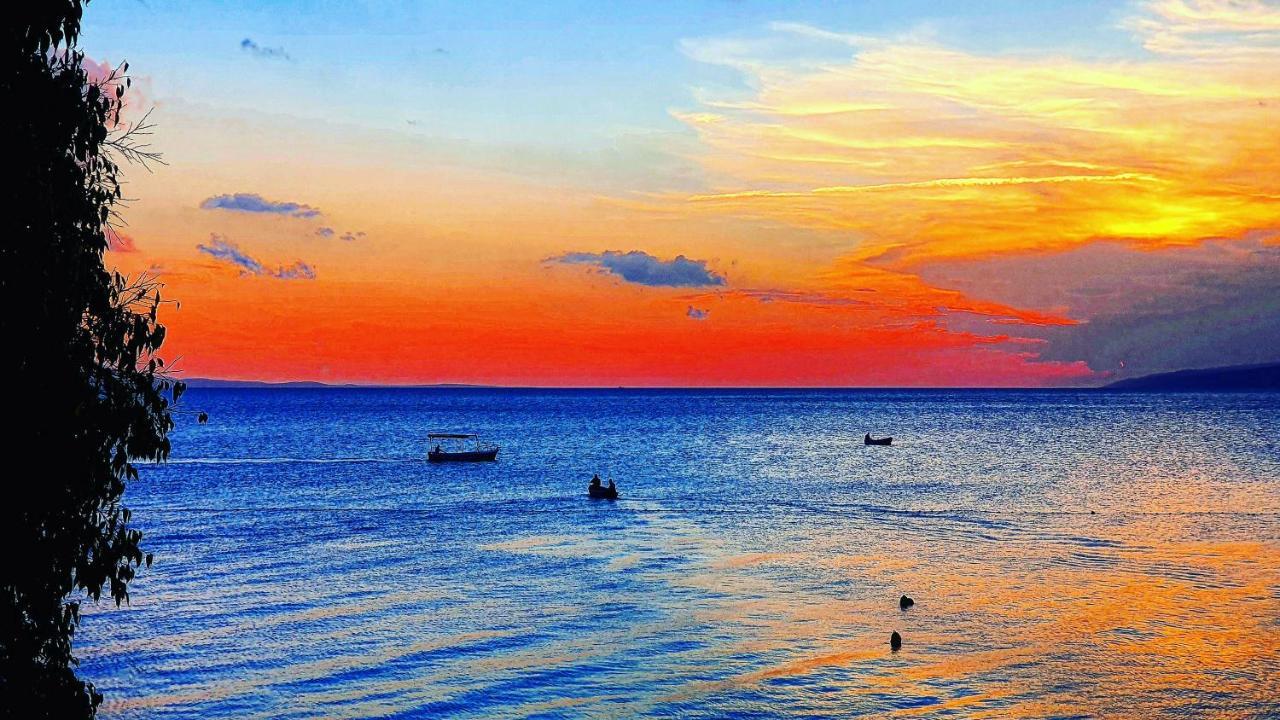 Apartmani Marina Gradac Gradac  Eksteriør bilde